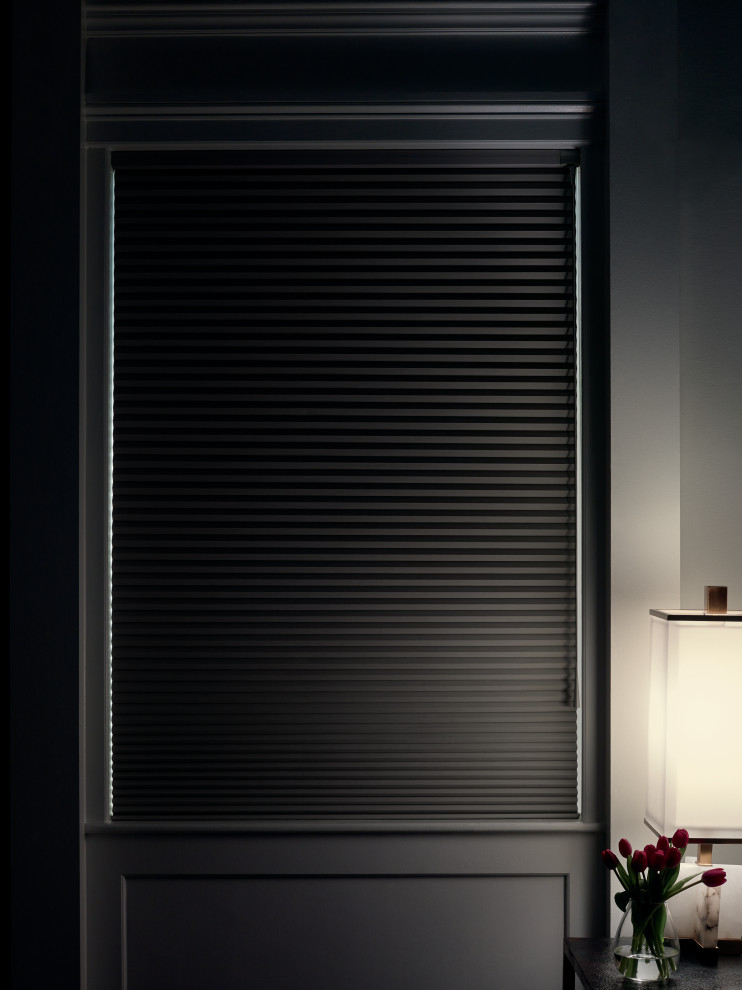 2021 Projects, Hunter Douglas Shades, Blinds, Room Darkening, Photos