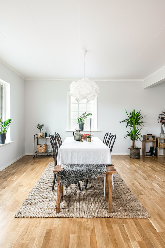 Photo of a large scandinavian open plan dining in Other with white walls, medium hardwood floors, no fireplace and brown floor.