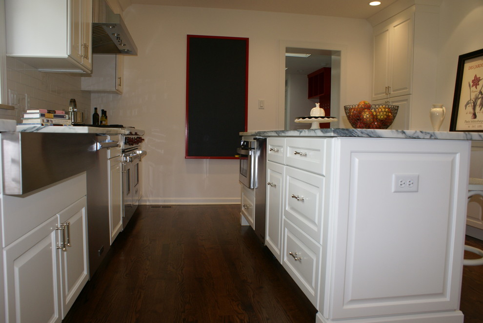 Kitchen - transitional kitchen idea in Chicago