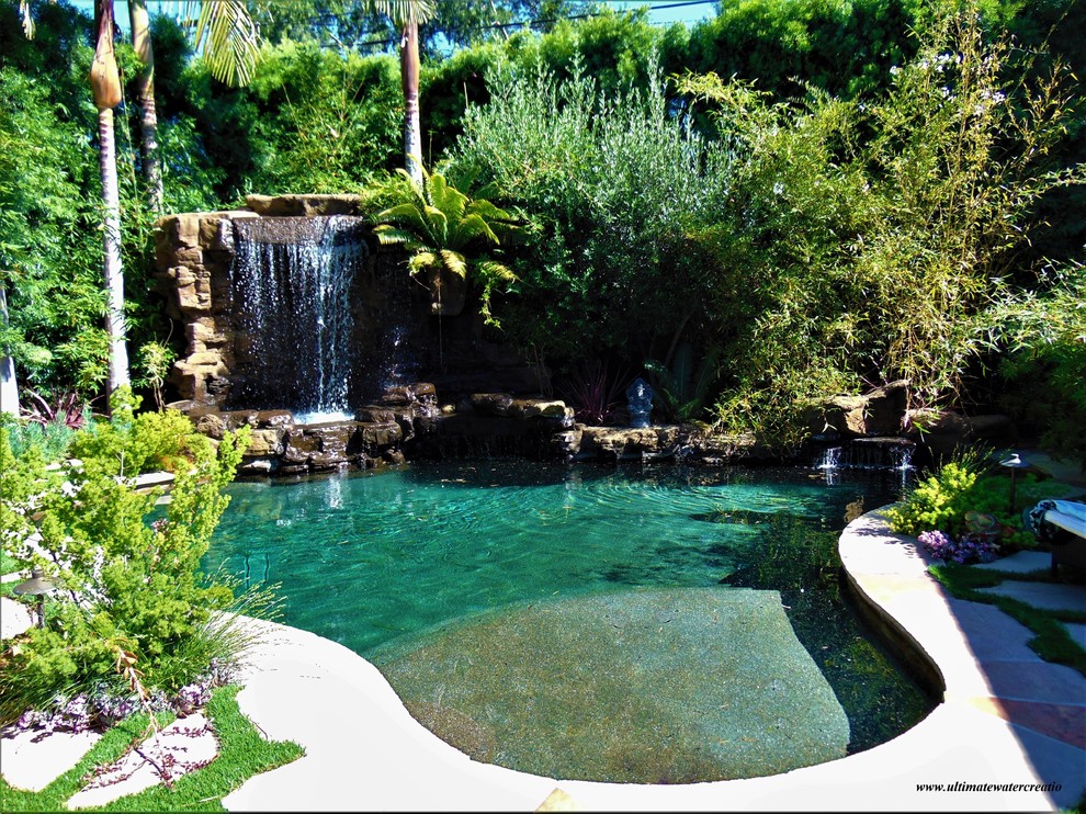 Studio City - Naturalistic rockwork pool with waterfalls and remodeled backyard