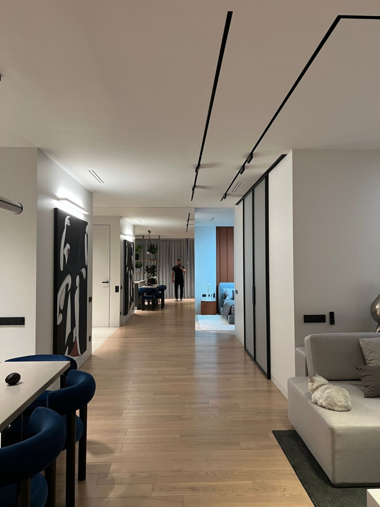 Фотосессия  - двери, мебель и перегородки в московской квартире