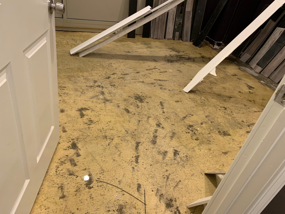 Water Mitigation