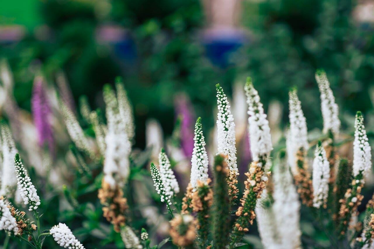 Выставочное пространство в г. Екатеринбурге, Ленина 1 , Россия