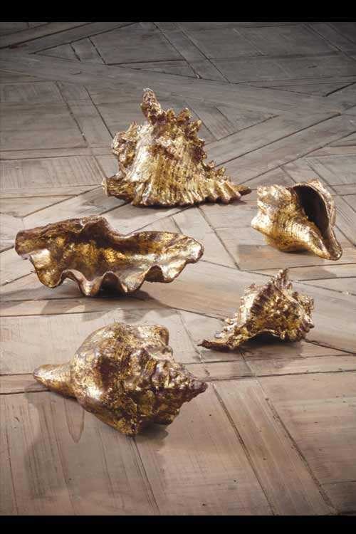Gold Leafed Shells