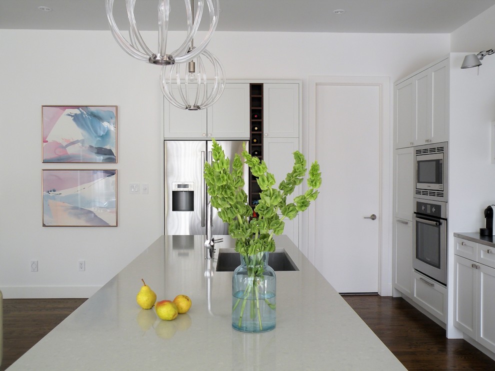 Open concept kitchen - large transitional galley dark wood floor open concept kitchen idea in Ottawa with an undermount sink, shaker cabinets, white cabinets, quartzite countertops, mosaic tile backsplash, stainless steel appliances and an island