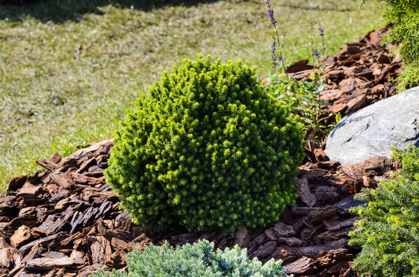 Избушка на опушке