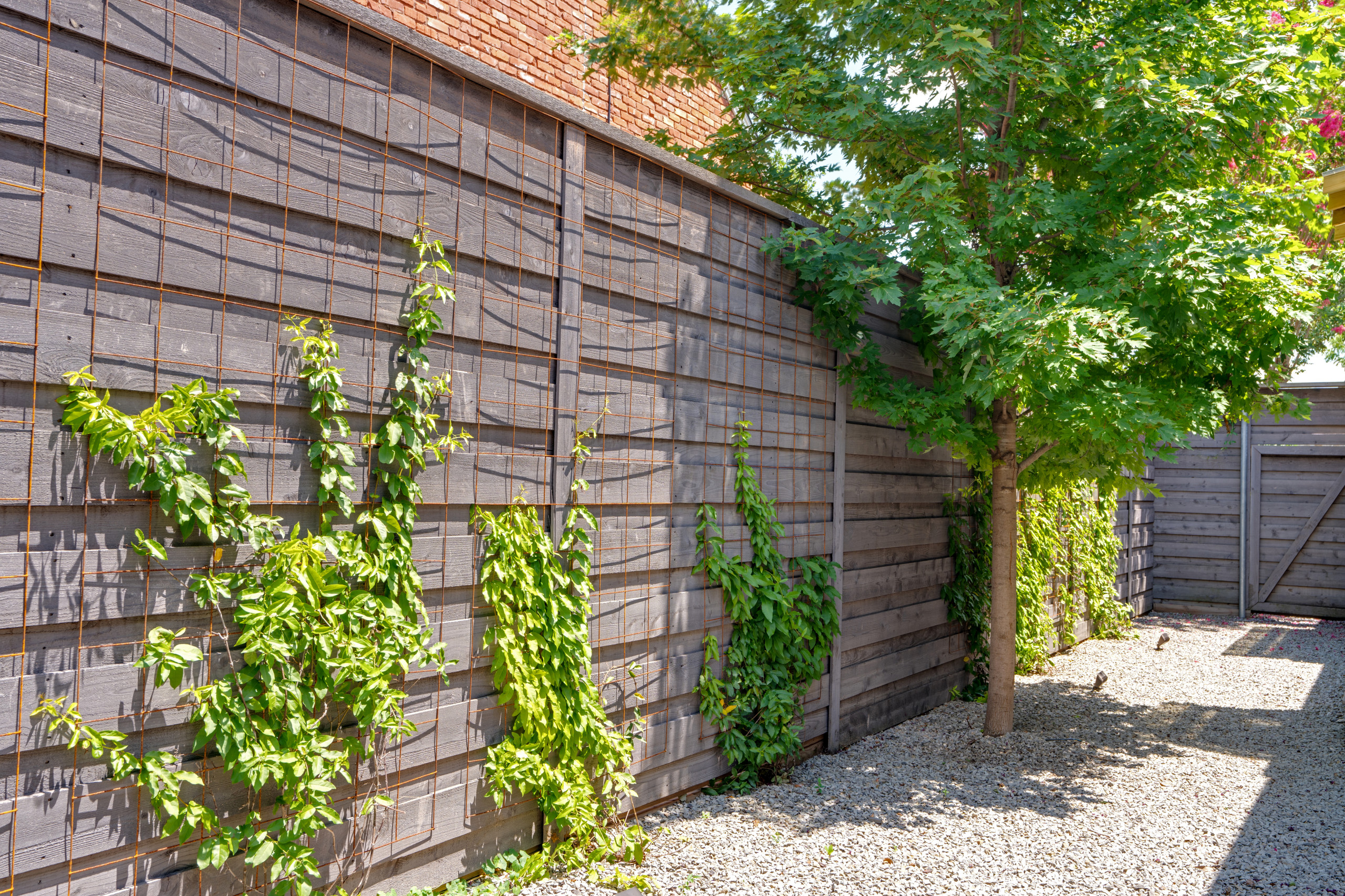 Preston Hollow Garden
