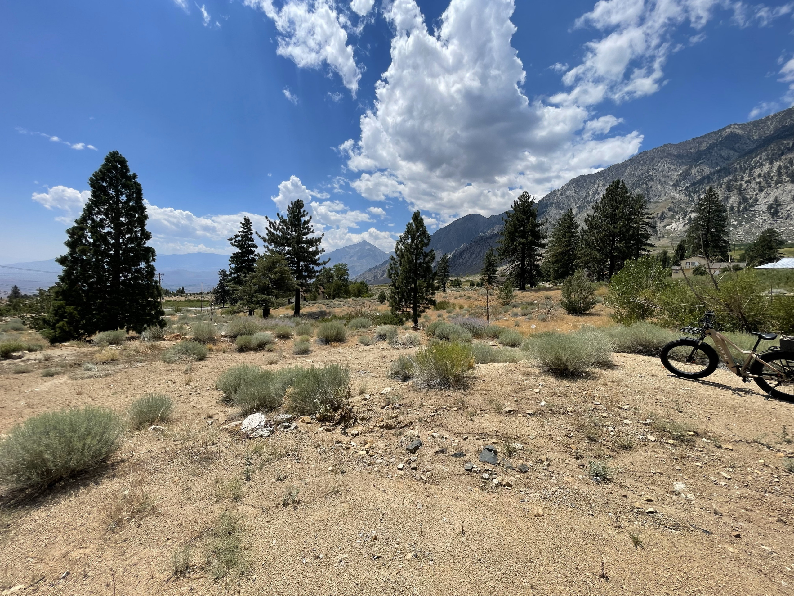 The Real Mountain View