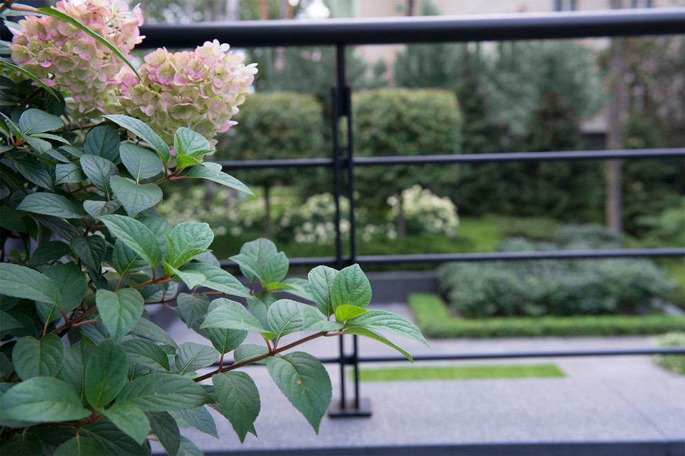 Сад пять уровней комфорта