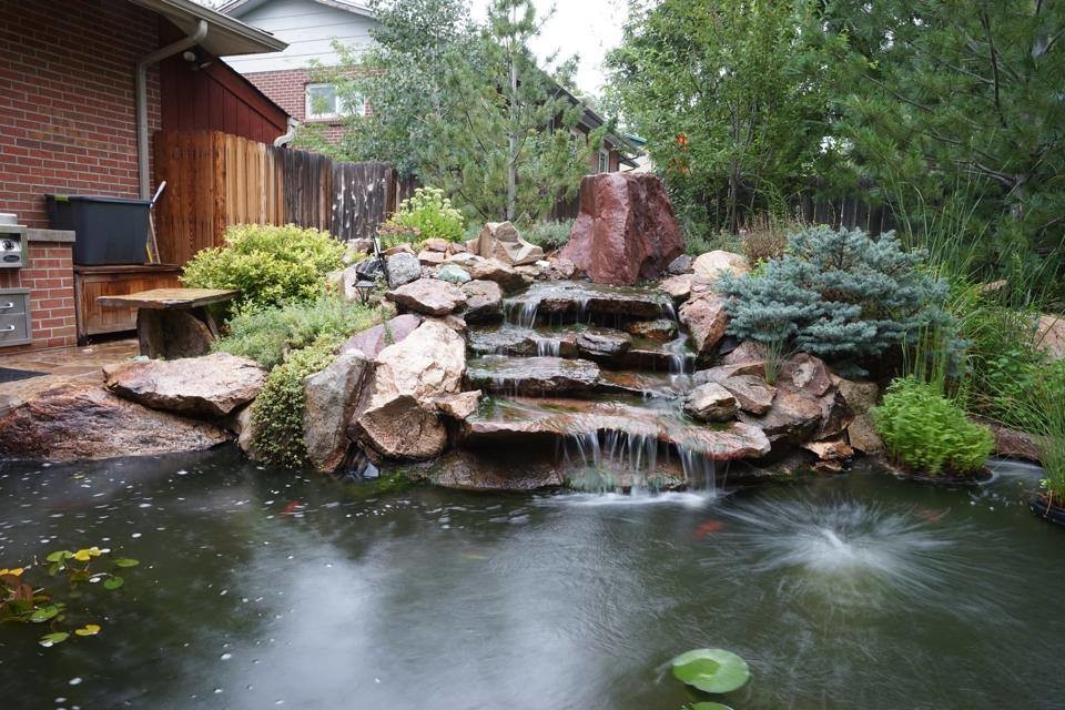 This is an example of a transitional landscaping in Denver.