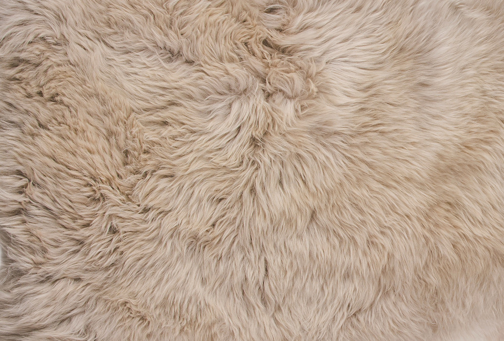 New Zealand Quattro Sheepskin Rug, Taupe, 4'x6' - Contemporary ...