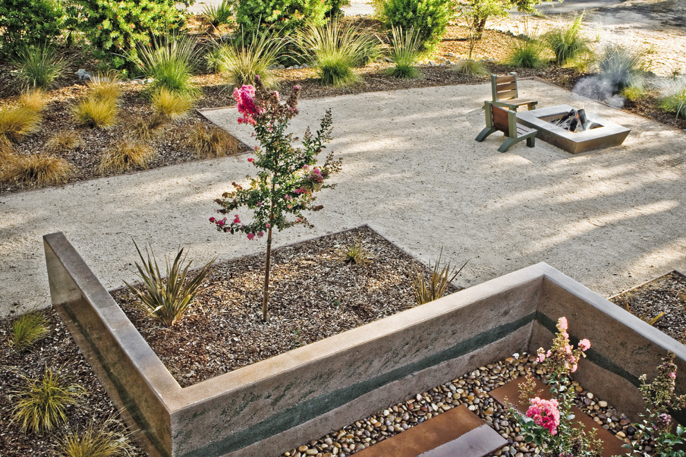 Design ideas for a contemporary garden in San Luis Obispo with a fire feature.