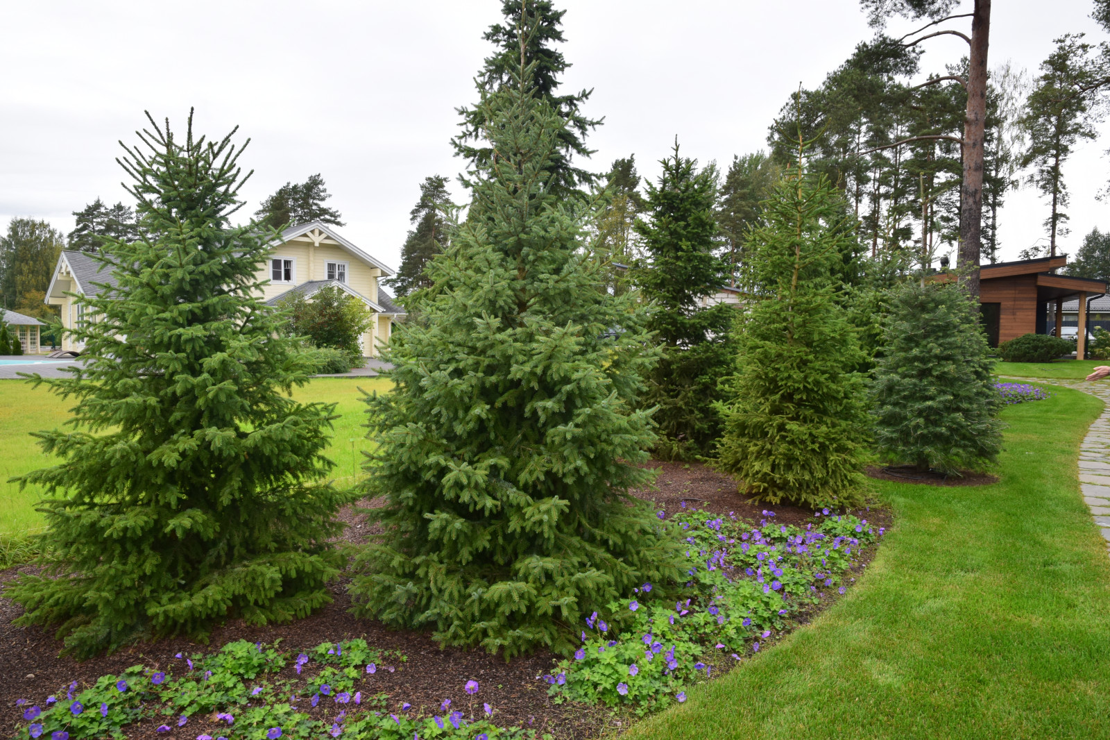 Сестроречье