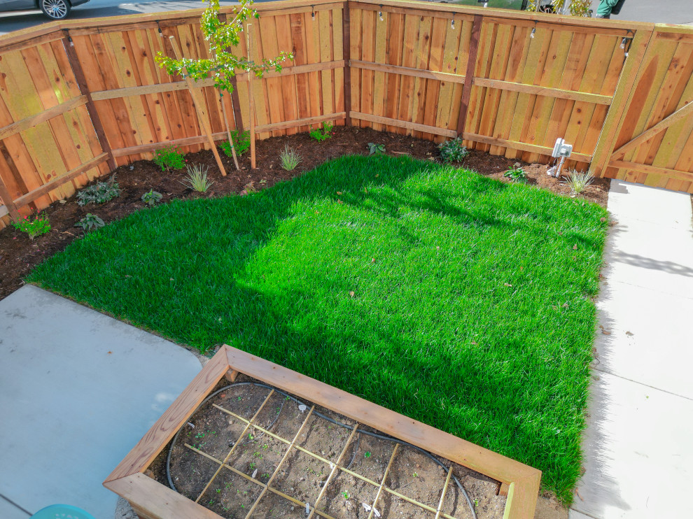 Crocker Village Side Yard Project