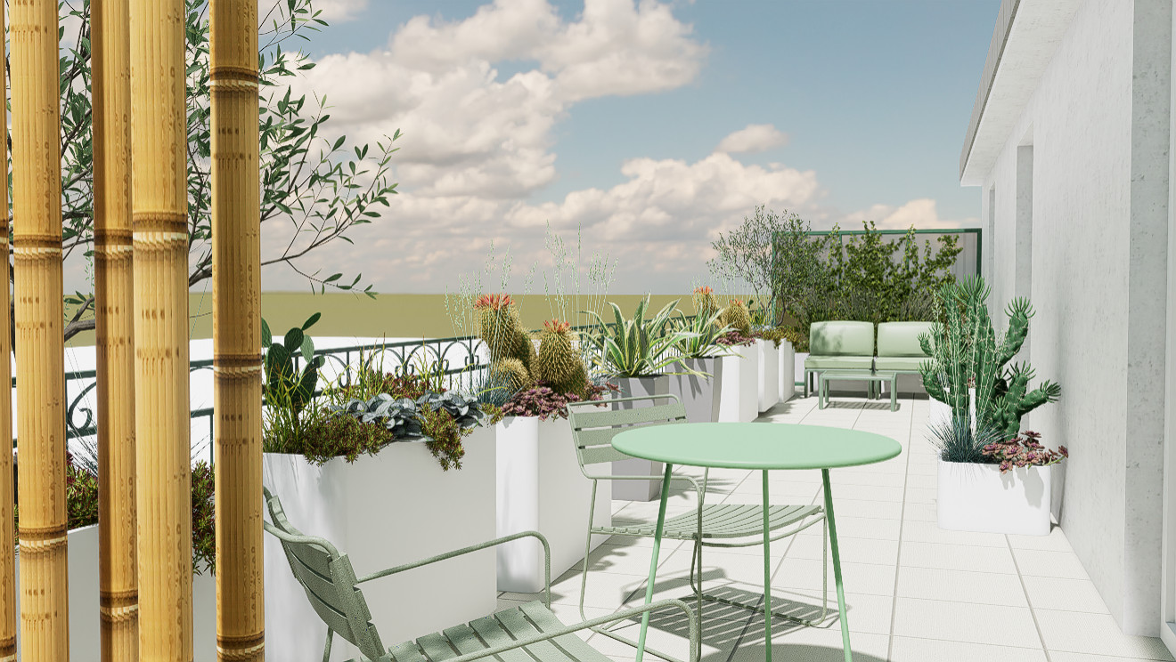 Urban succulents: suggestioni desertiche