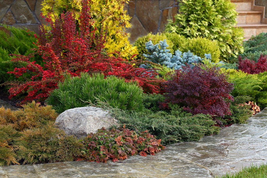 Сад в Вельяминово