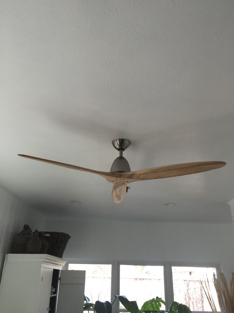 Light Fixture Ceiling Fan Installations Contemporary Living