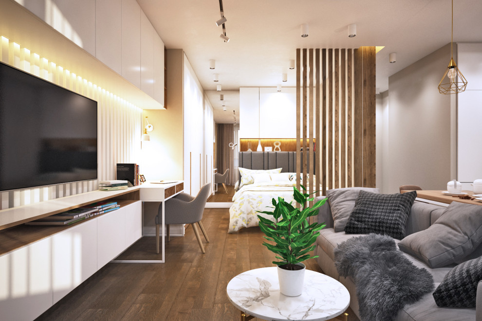 Однокомнатная квартира в современном стиле