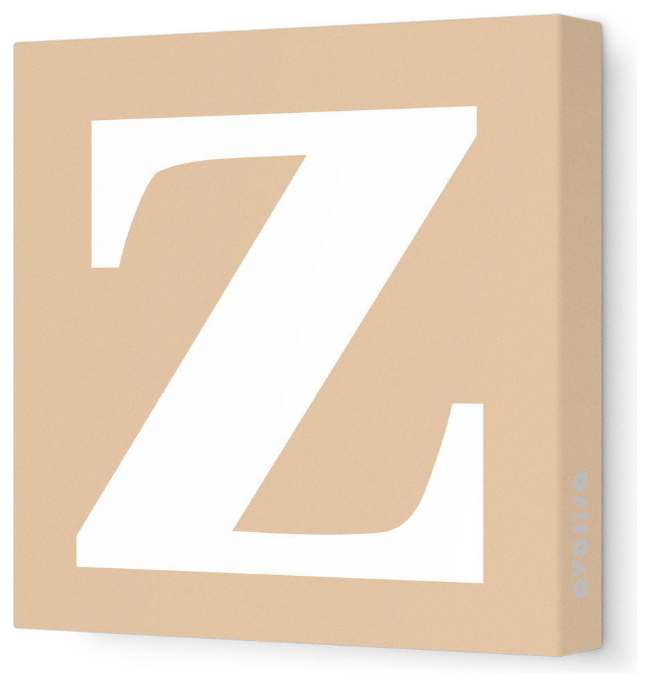 Letter - Lower Case 'z' Stretched Wall Art, 18" x 18", Light Brown