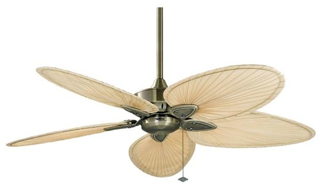 Fanimation Windpointe Fan Antique Brass 5 Blade Isp4 Fp7500ab