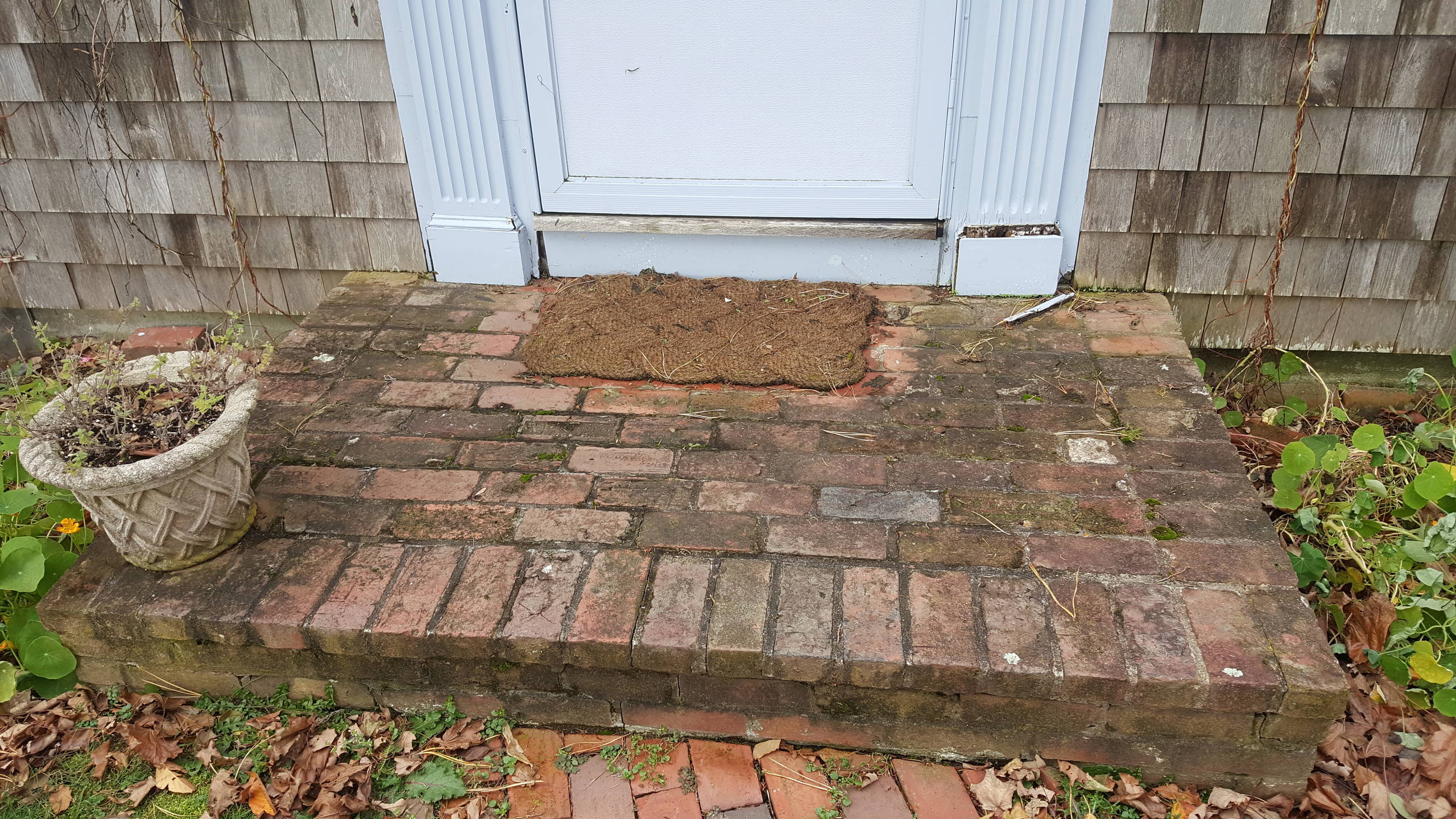 Exterior Repair