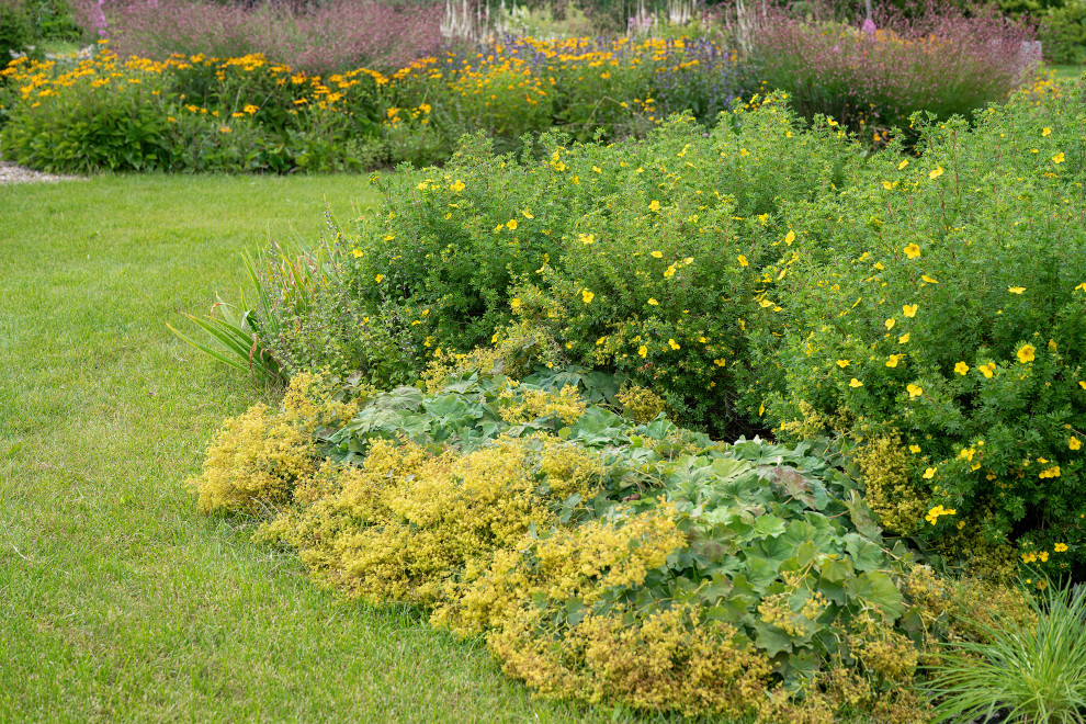 Проект Сада  в "Бельгийской деревне "