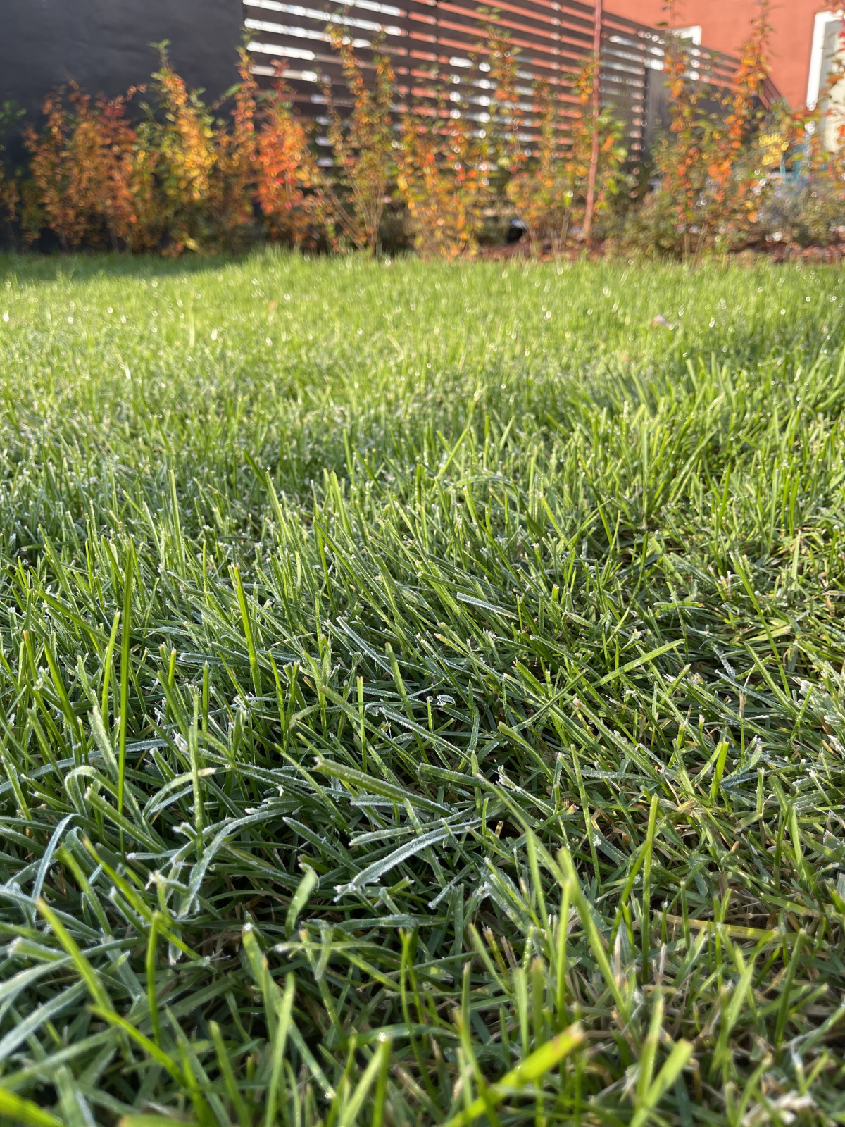 КП "Кратово"