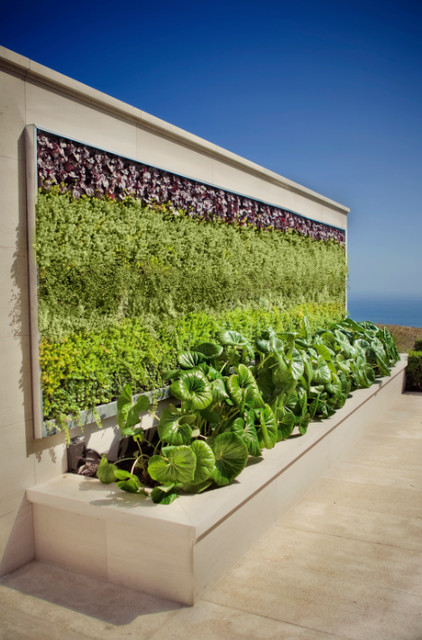 Living Walls