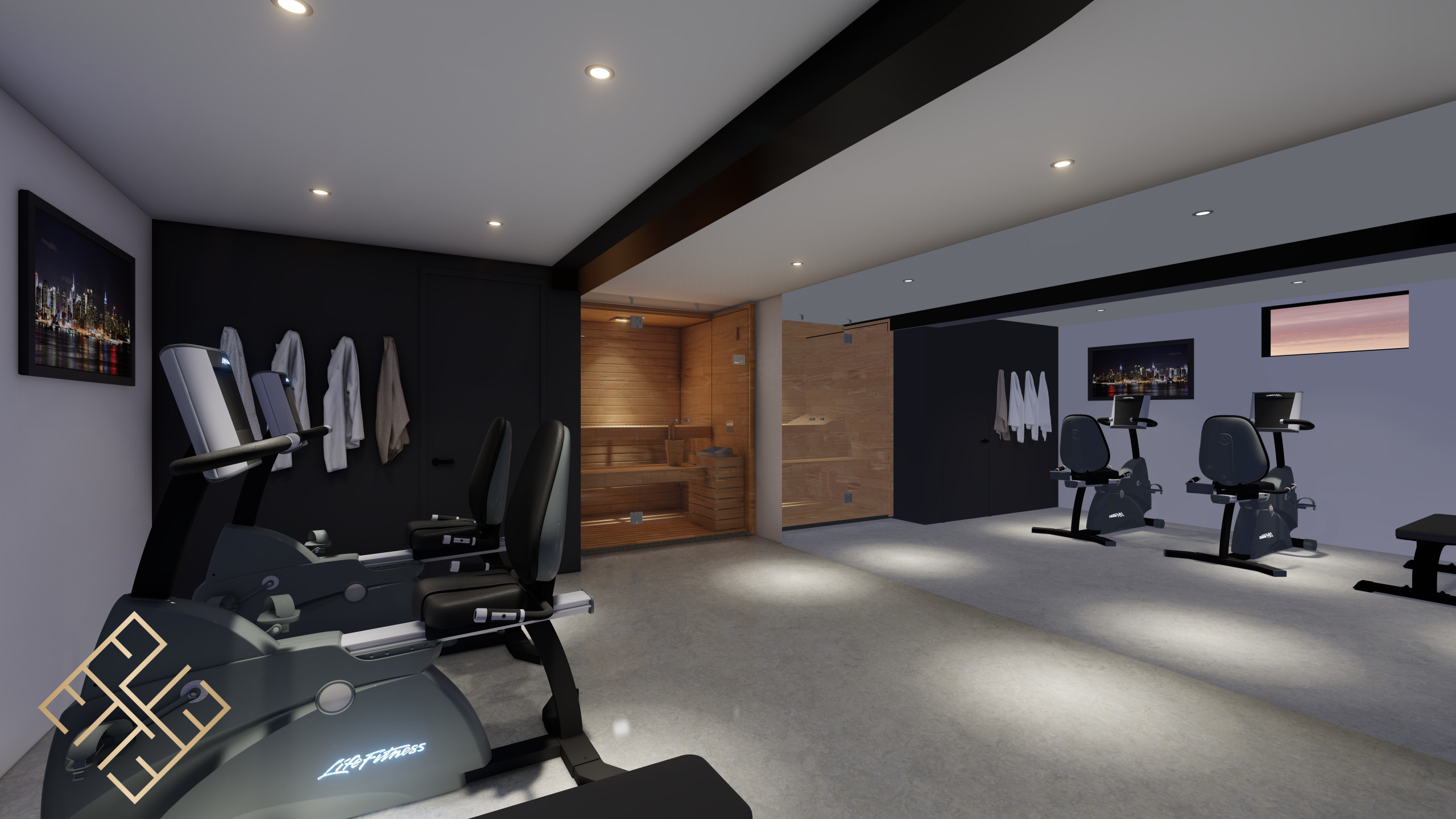 Basement Transformation