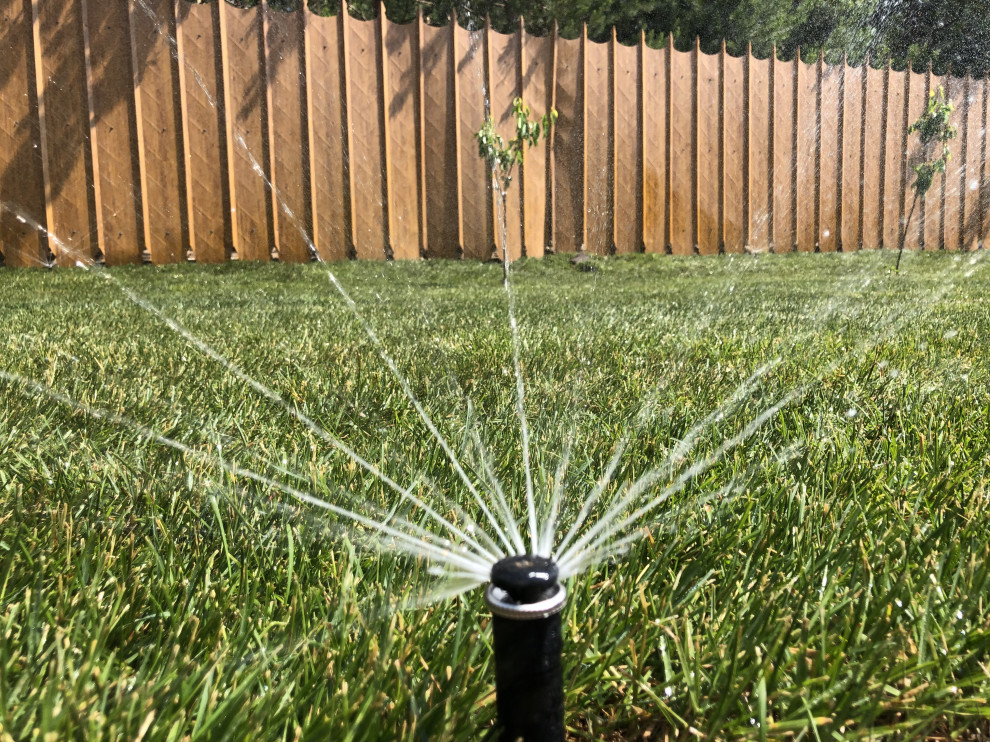 Озеленение частных участков и укладка рулонного газона