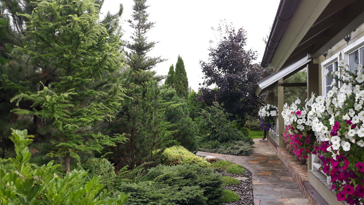 Витро Кантри 2