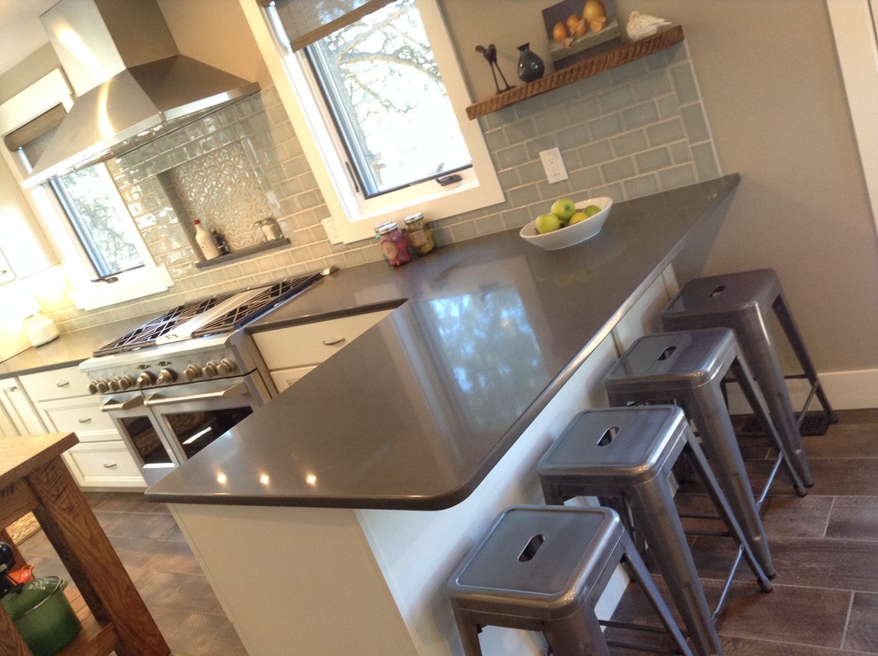 Kitchen - transitional kitchen idea in Denver