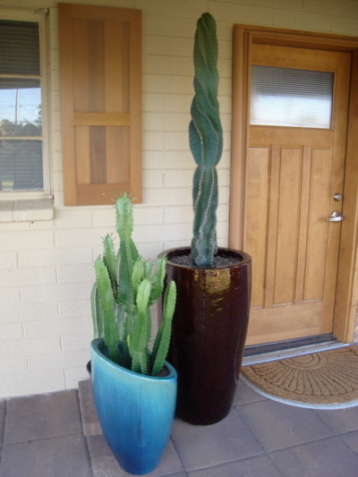 Midcentury AZ Ranch Remodel