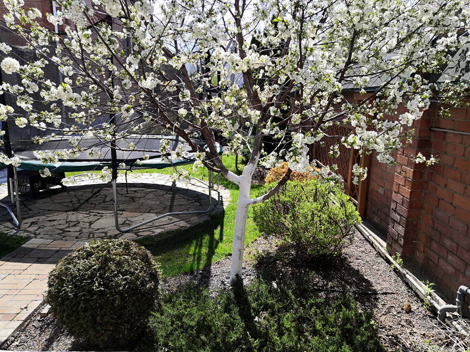 Дворик с поилкой для птиц