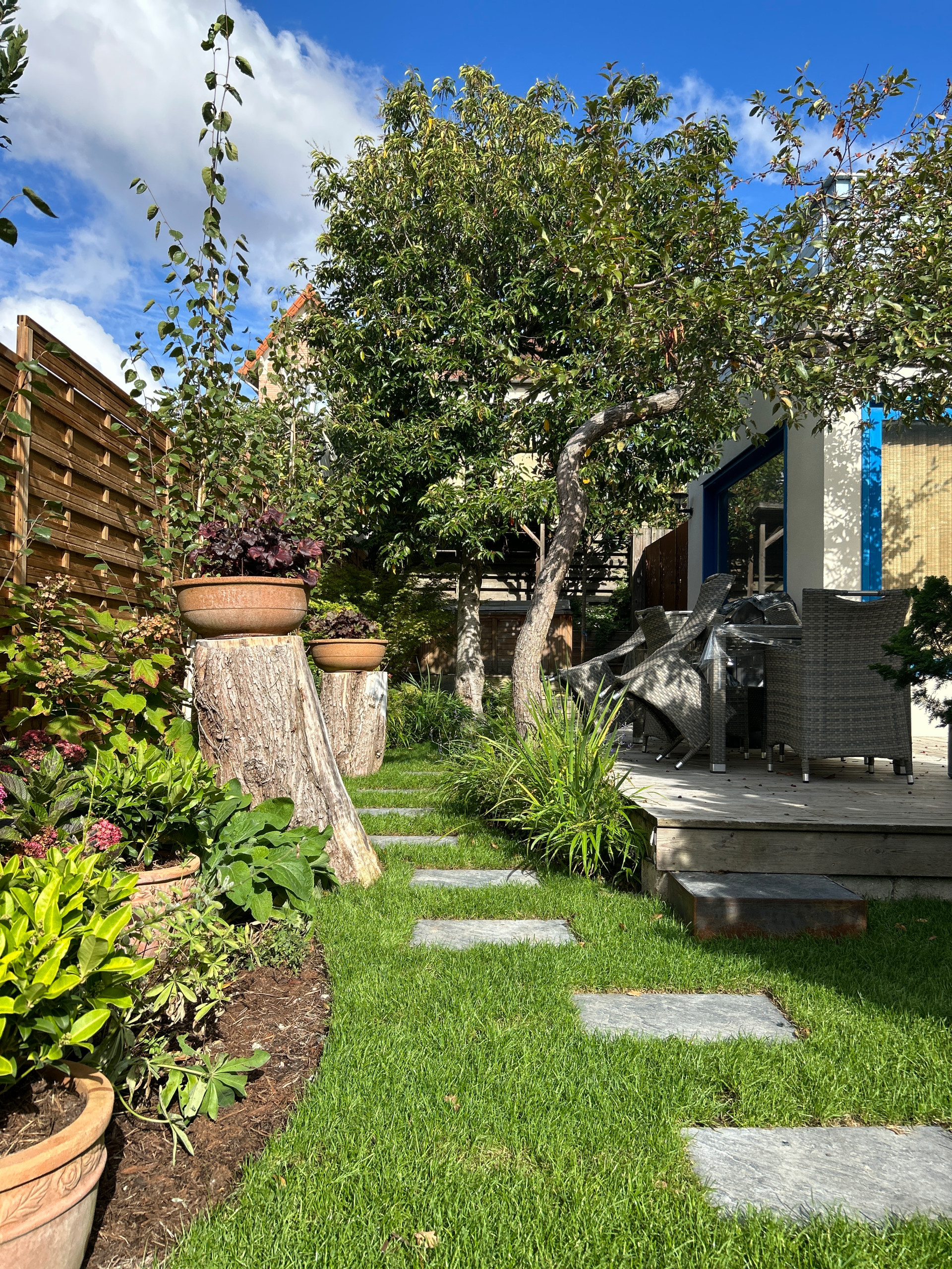 Jardin en Pots : Un Écrin de Nature