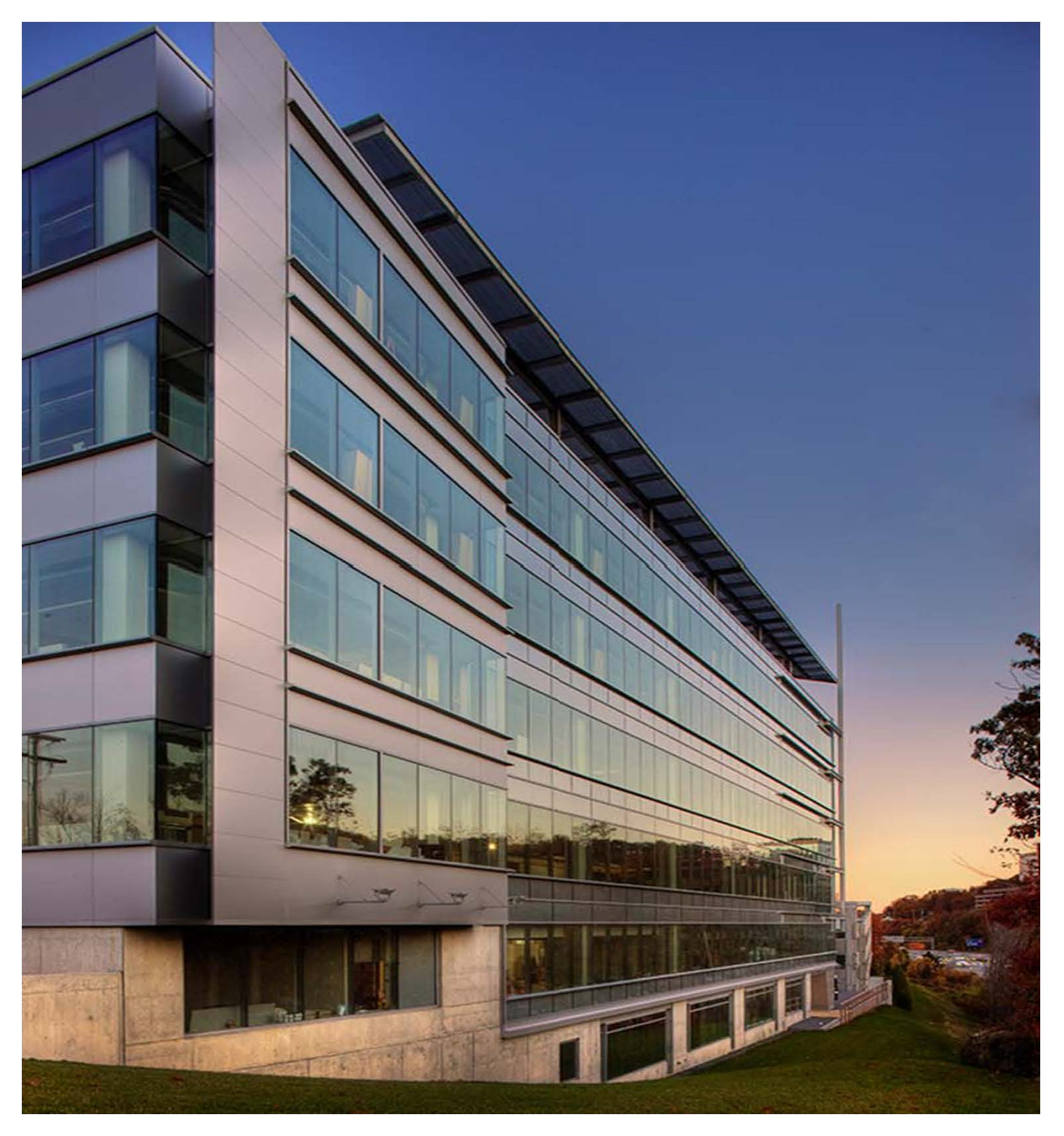 Adobe Head Quarters Waltham MA.