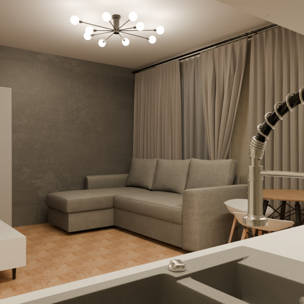 Визуализация трех типовых квартир под сдачу в аренду