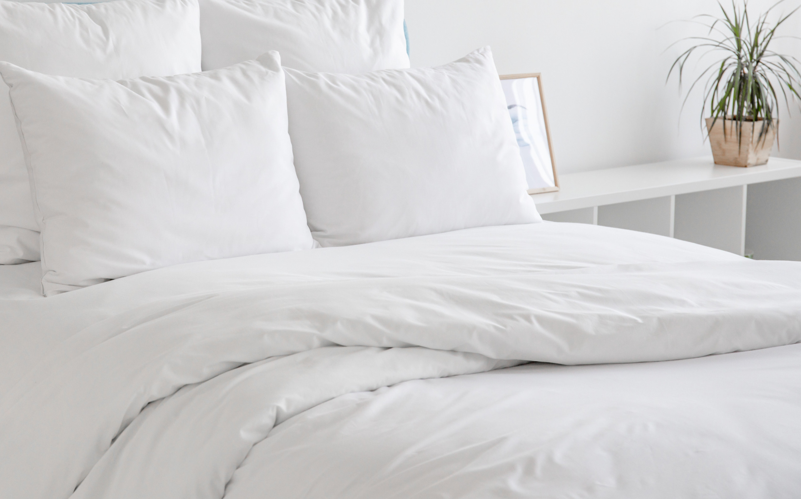 White Bedding