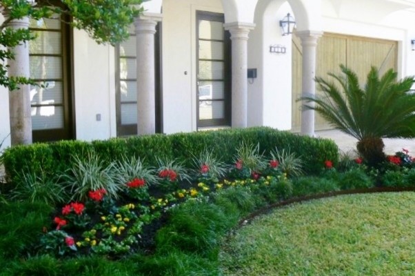 This is an example of a small contemporary front yard full sun garden in Houston.