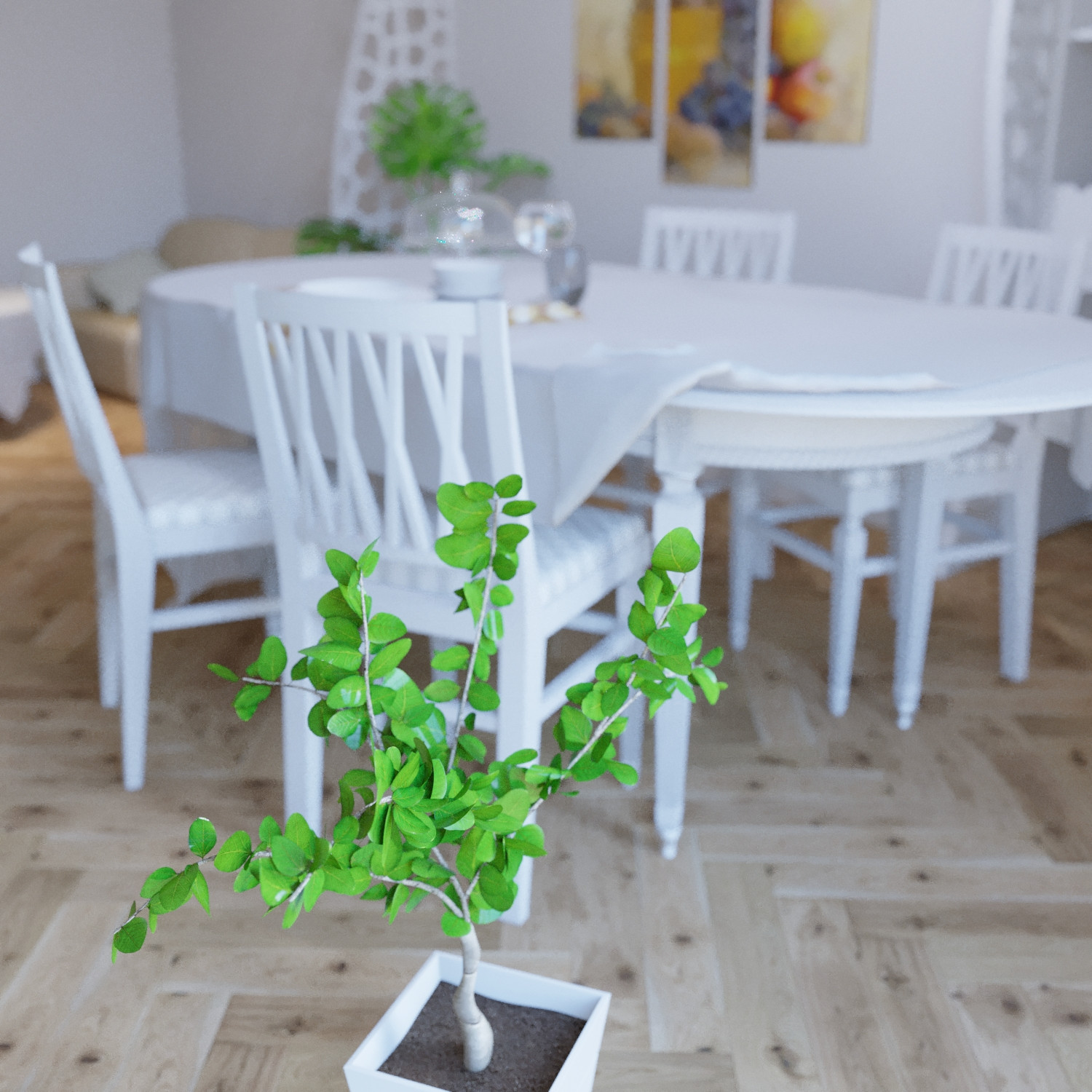 Фокус на комнатном растении