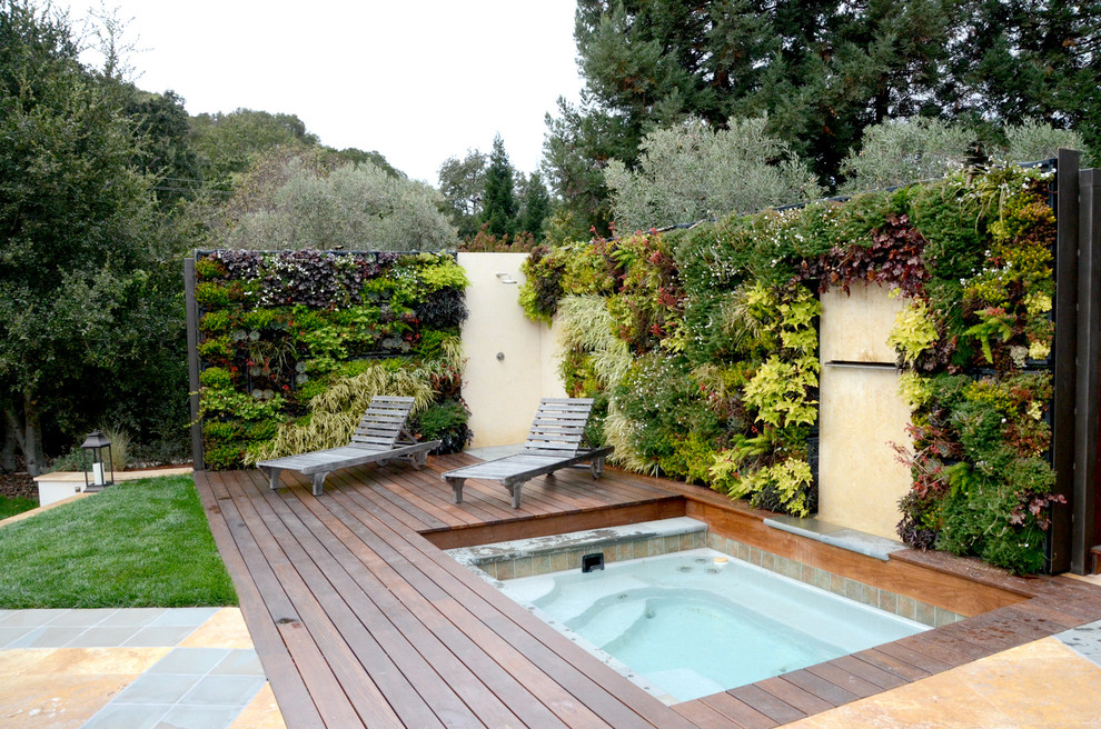 Inspiration for a small contemporary backyard full sun garden in San Francisco with a vertical garden and decking.