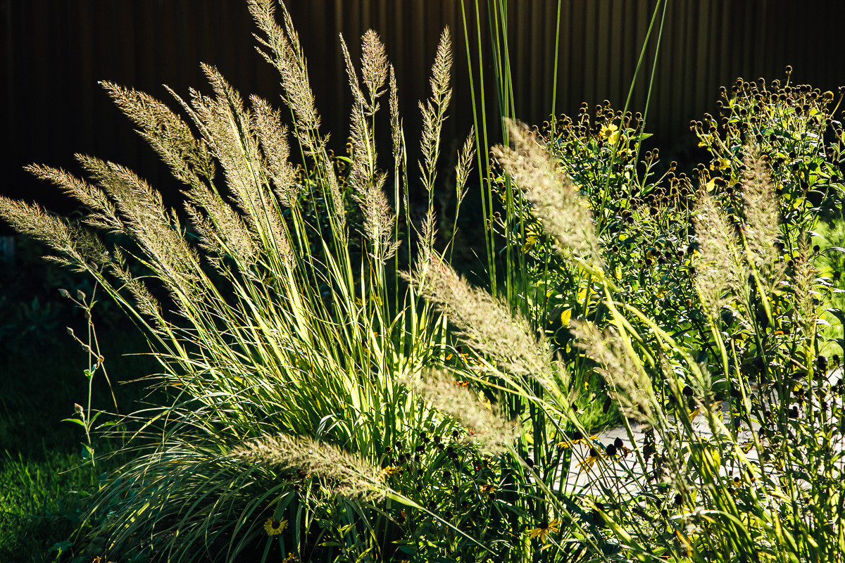 Русские Забавы