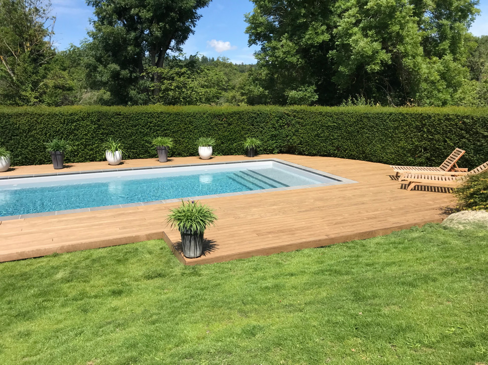 Esempio di una piscina classica rettangolare dietro casa con paesaggistica bordo piscina e pedane