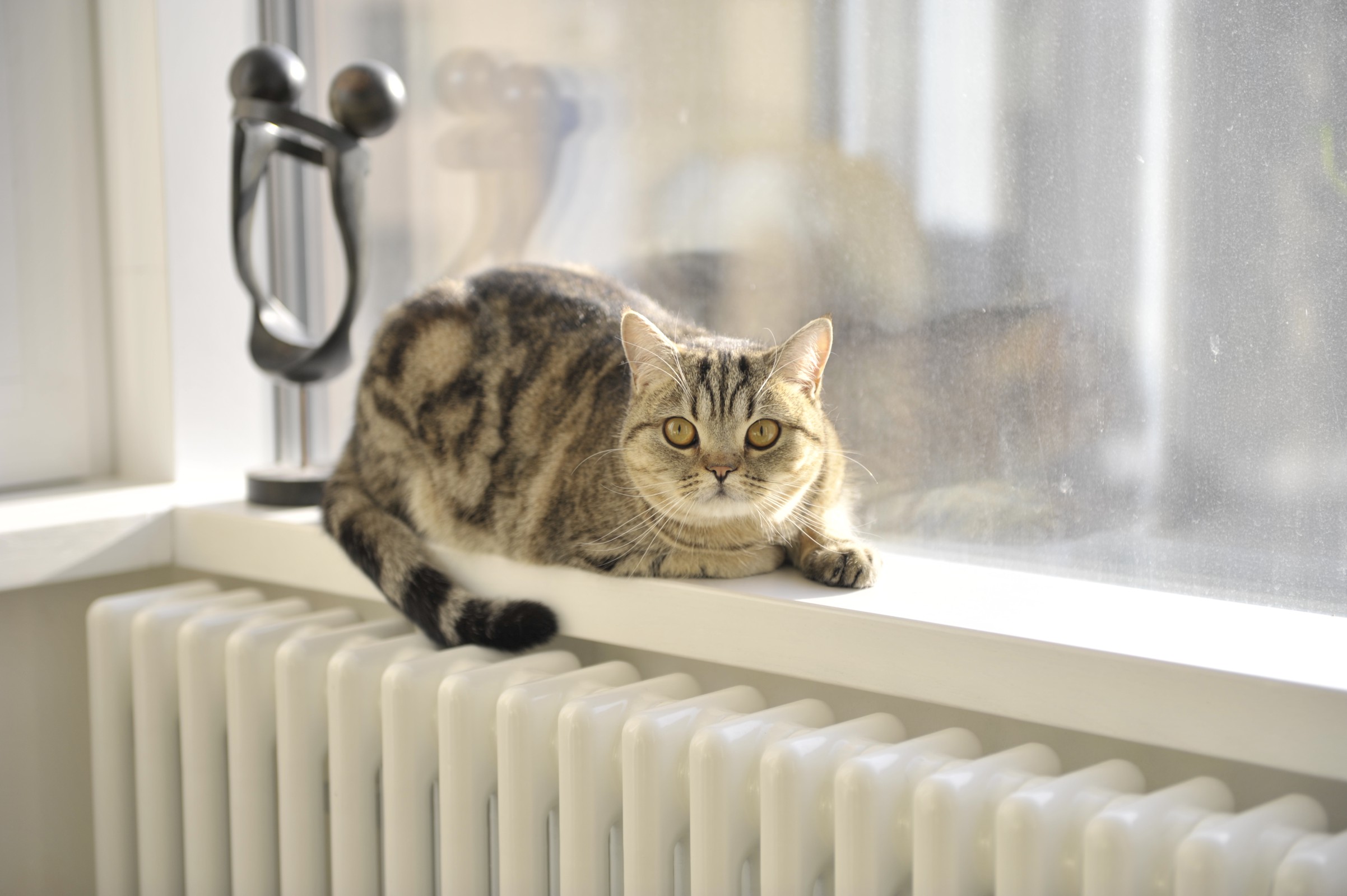 С видом на Неву