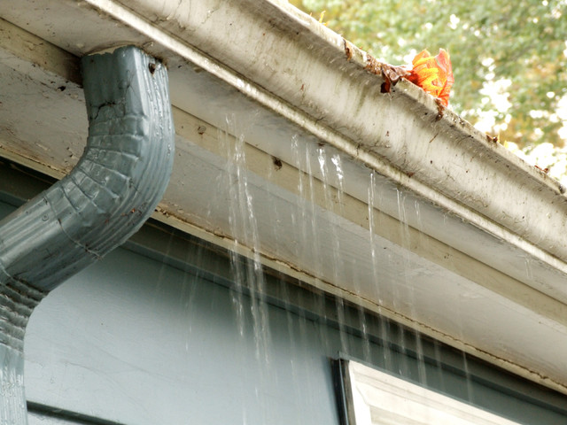 Gutter Cleaning