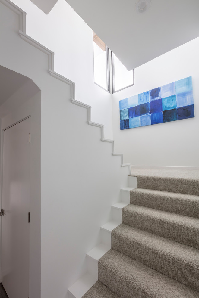 Transitional carpeted l-shaped staircase photo with carpeted risers