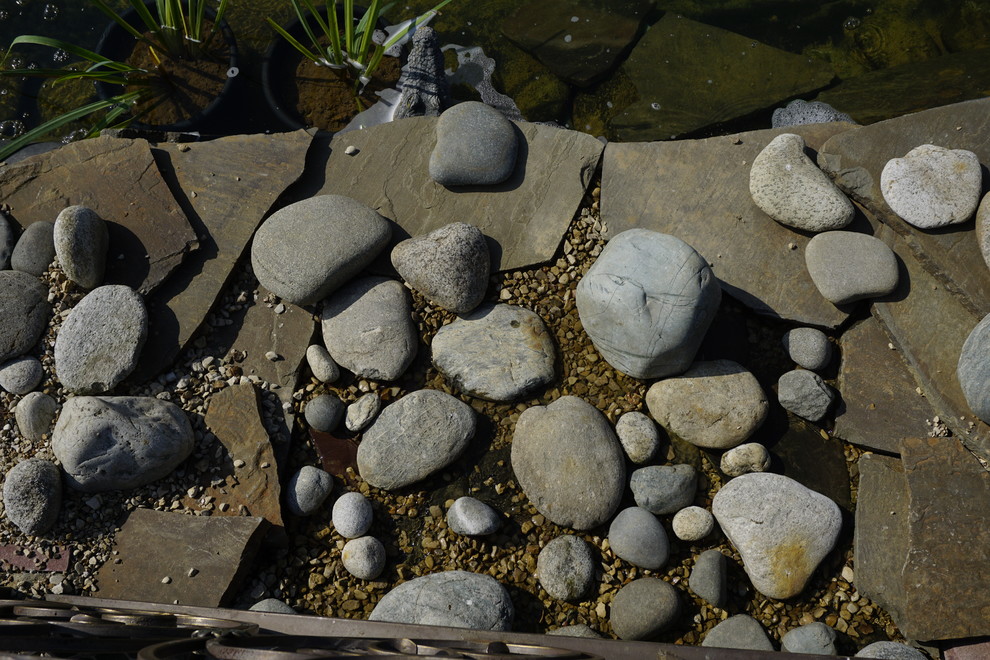 Ландшафтный дизайн