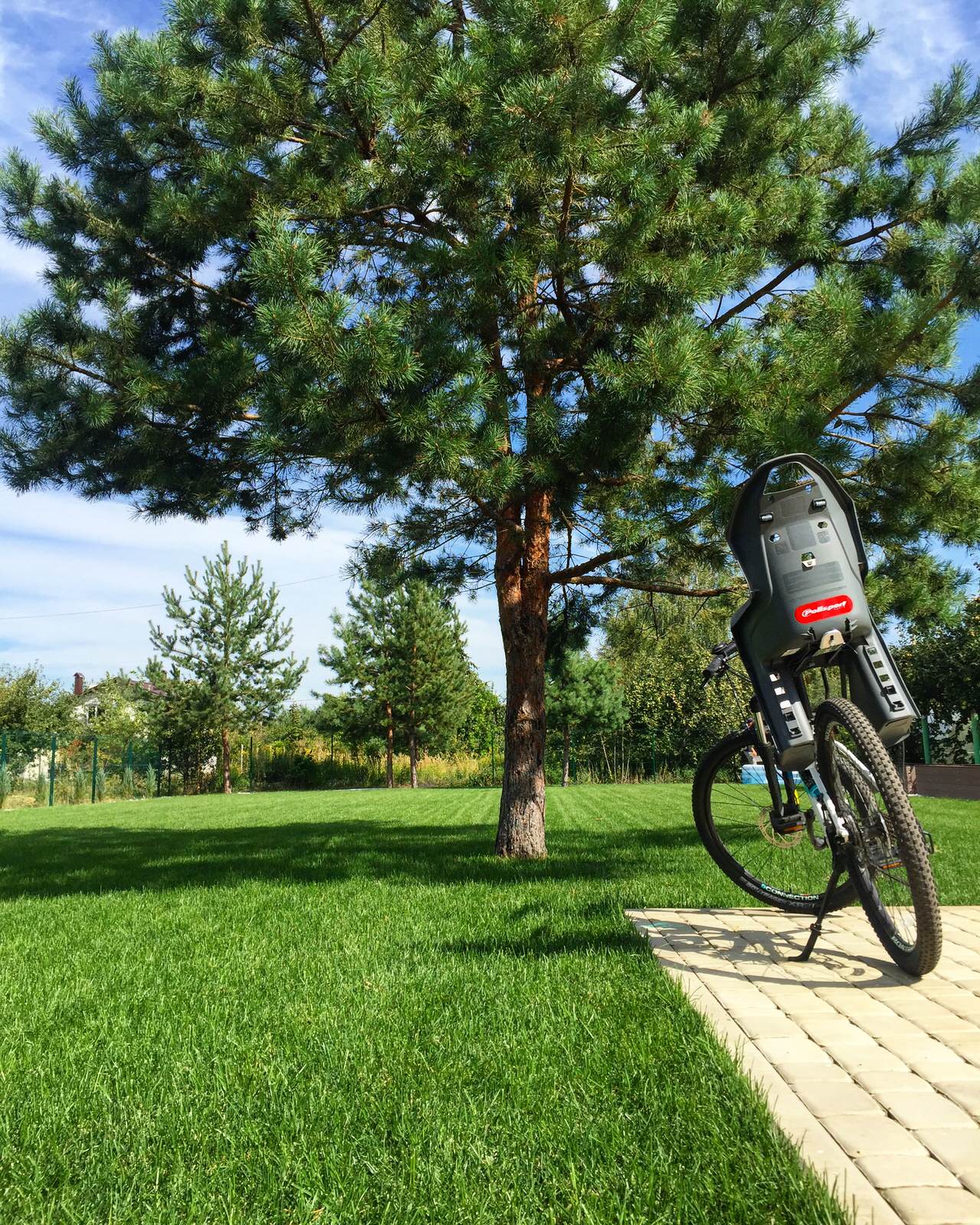 Рулонный газон 6 соток