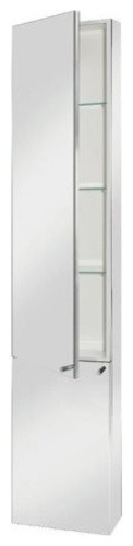 Contemporary Tall Mirror Cabinet, Stainless Steel With 2-Door and 3-Shelf