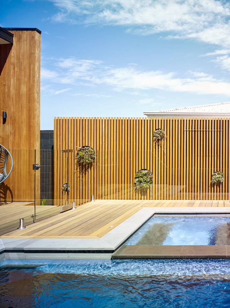 Design ideas for a contemporary pool in Geelong.